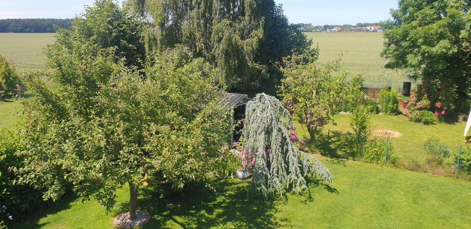 Ostseeferien In Lichtenhagen-Dorf Ferienwohnung Elmenhorst/Lichtenhagen Exterior photo