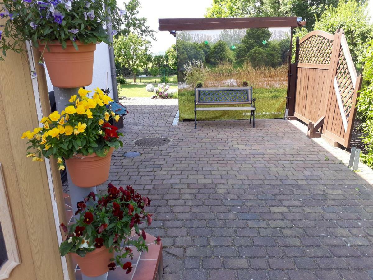 Ostseeferien In Lichtenhagen-Dorf Ferienwohnung Elmenhorst/Lichtenhagen Exterior photo